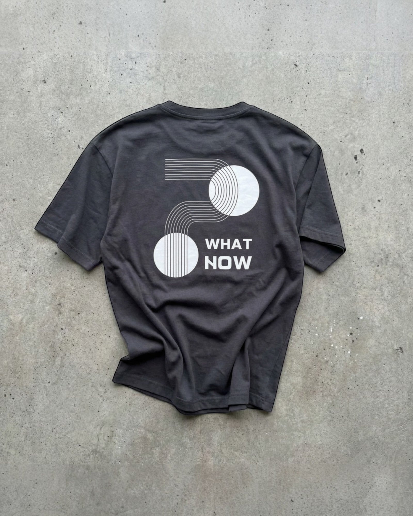 FALLR wear dark grey 100% cotton t-shirt with a white graphic print and "WHAT NOW" text. Relaxed fit, unisex streetwear.
